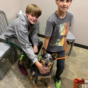 Meet your Posher, Chip